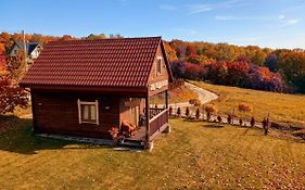 Chatka Zuzia w Bieszczadach 517-665-624